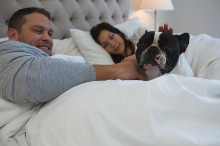 Couple petting their pet dog in bedroom