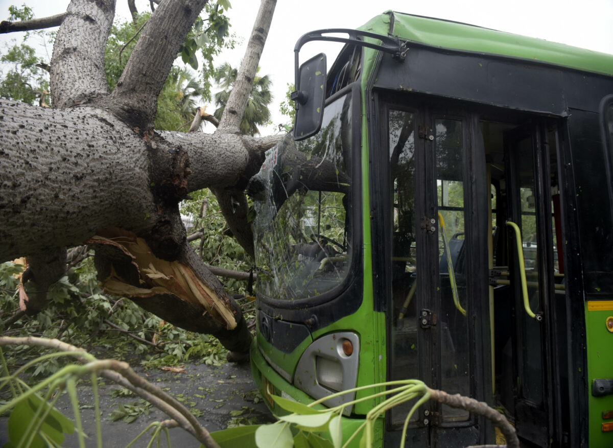 
Ashoka Road and Kasturba Gandhi Marg, New Delhi, Monday, May 30, 2022, uprooted trees damaging DTC bus after a dust storm accompanied by rainfall.